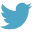 icon twitter